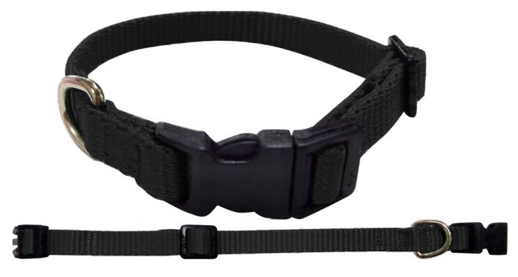 Showman Couture Medium Nylon dog collar #4